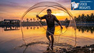 Why India’s aquaculture sector remains resilient amidst West Asia geopolitical tensions. (AI-generated image from Gemini)