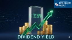 7% Yield & 32% ROE: Is this debt-free IT player the ultimate dividend safety play for FY26?