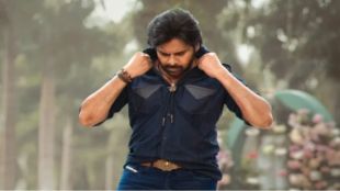 Ustaad Bhagat Singh box office