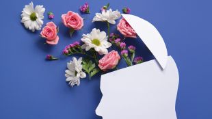 brain health