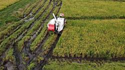 Govt to assess crop damage from unseasonal rains