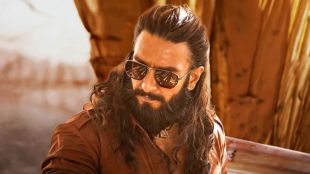 dhurandhar the revenge box office collection