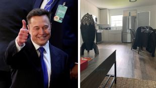 elon musk texas house