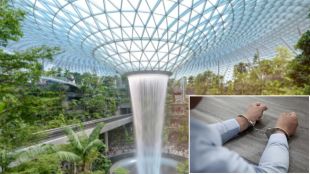 Singapore airlines Indian man