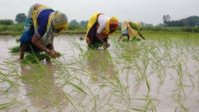 Kharif season mayface fertiliser shortage if LNG import impasse continues