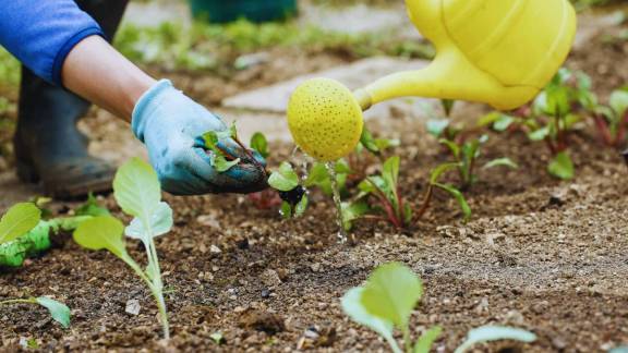 Defying Geopolitical Headwinds: India Secures Robust Fertilizer Buffers for Kharif Season