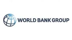 India among fastest-growingeconomies, but risks tilted to downside: World Bank economist