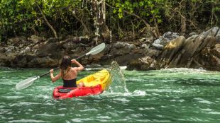 Why Mangrove Kayaking is becoming travellers' favourite new summer activity