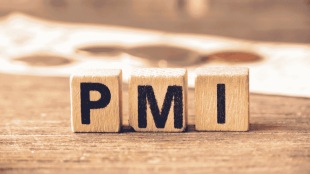 March services PMI softens