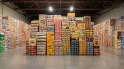 No price volatility despite West Asia War: Govt