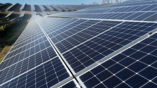 US Hits Indian Solar Exports with 123% Anti-Dumping Duty; Combined Tariffs Now Exceed 230%