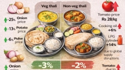 Kitchen Inflation Alert: 14% LPG spike and costlier oil offset savings from pulses and potatoes in March- Crisil