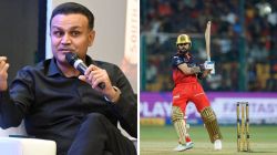 Why Delhi Snubbed Virat Kohli in 2008? Virender Sehwag Reveals Tactical Conflict On Why He Chose Pradeep Sangwan
