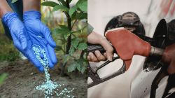 West Asia conflict to keep fuel, fertiliser prices high; supply recovery may take time