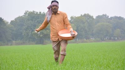India imports 37 lakh tonne urea amid West Asia crisis