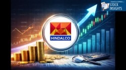 What are the future prospects of Hindalco Share Price? 