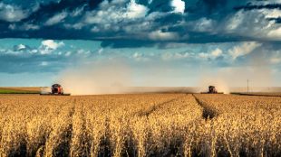 Indian agriculture experts feel the “below normal monsoon” by itself is not going to materially impact agricultural production