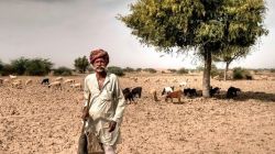 Spectre of ‘deficient’ Monsoon dims crop outlook