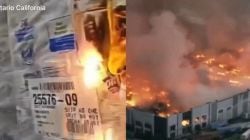 Watch | Disgruntled employee sets 1.2 mn sq ft California warehouse on fire using toilet paper