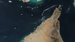 Iran, US-Israel war LIVE: Strait of Hormuz ‘fully open’, says Trump; Brent Crude falls by 11%