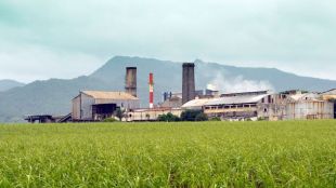 India's sugar production rose 7.32 percent to 27.52 million tonnes
