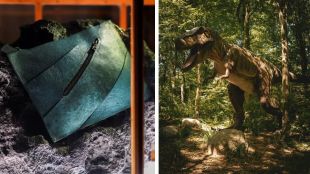 t-rex-bag