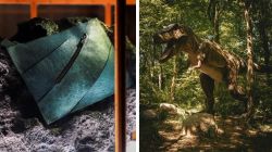 World’s first T-rex leather handbag to be auctioned for over Rs 5 crore – Here’s how it was made