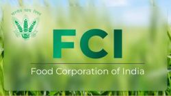 FCI to raise Rs 50,000 cr to address cash flow mismatch