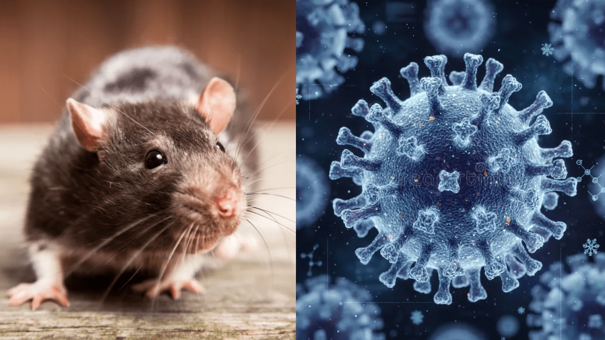 Hantavirus Outbreak