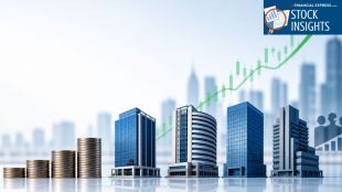 4 Largecap Stocks Where DIIs Increased Stake in Q4