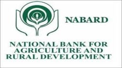 Nabard survey shows only about third of rural households reported increase in come last year