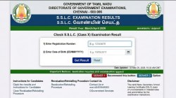 Tamil Nadu Board Class 10th Result 2026: List of official websites to check TN SSLC 10th scorecards 