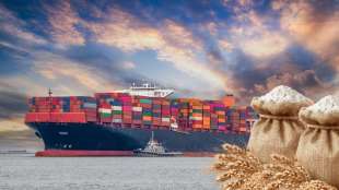 India resumes wheat exports after 4 years