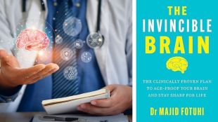 Why Managing Your Gray Matter is the Most Critical Investment of 2026