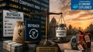Why corporate India’s rush to return cash is a risky bet on short-term arithmetic. (AI-generated image from Gemini)