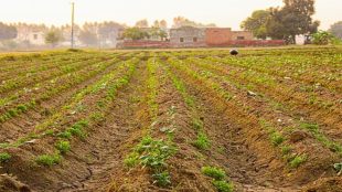 India braces for Kharif season - What is Centre's contingency plan for El Nino hit.