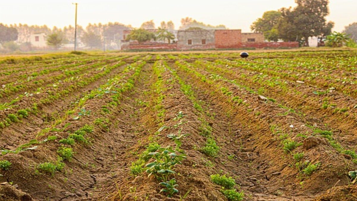 India braces for Kharif season - What is Centre's contingency plan for El Nino hit. India braces for Kharif season - What is Centre's contingency plan for El Nino hit.