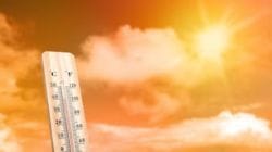 India braces for intense heatwave; IMD issues red alerts, health ministry releases advisory