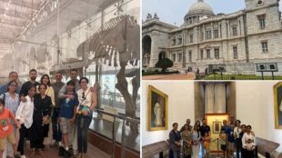 Nithin Kamath on museum culture