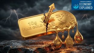 Why the government wants Indians to pause gold buying?