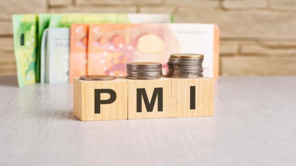 HSBC Flash India PMI eases in May