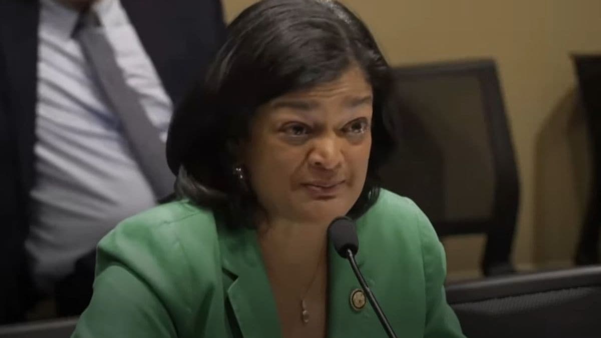 Image for ‘Took 17 yrs, different visas to become US citizen’: Indian-origin US politician
