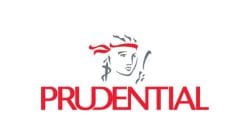 Prudential buys 75% stake in Bharti Life