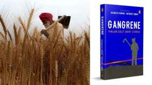 Over time, the Jatt identity in Punjab has acquired connotations of pride, enmeshed with the size of land holdings and political power, writes the author