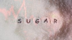 Sugar stocks fall 4%: Govt bans sugar export till September 30