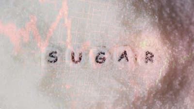 Sugar stocks fall 4%: Govt bans sugar export till September 30