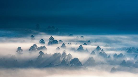 Ziro valley