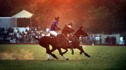 From Gymkhana to Jaipur Polo Ground: Why Centre wants back nearly 100 acres of Delhi’s most prized land
