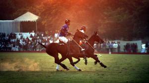 Jaipur Polo Ground, eviction, Lutyens Delhi, Indian Polo Association, Delhi High Court, urban redevelopment, heritage spaces, Centre eviction, green spaces, land dispute