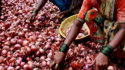 Maharashtra onion farmers seek relief measures despite the Centre’s procurement push – What have they demanded?